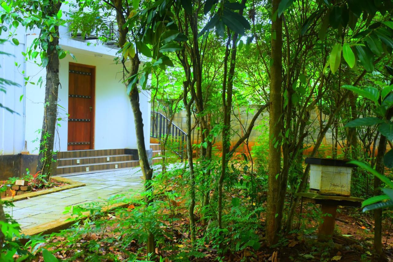 Forest Dew Udawalawa Udawalawe Exterior foto