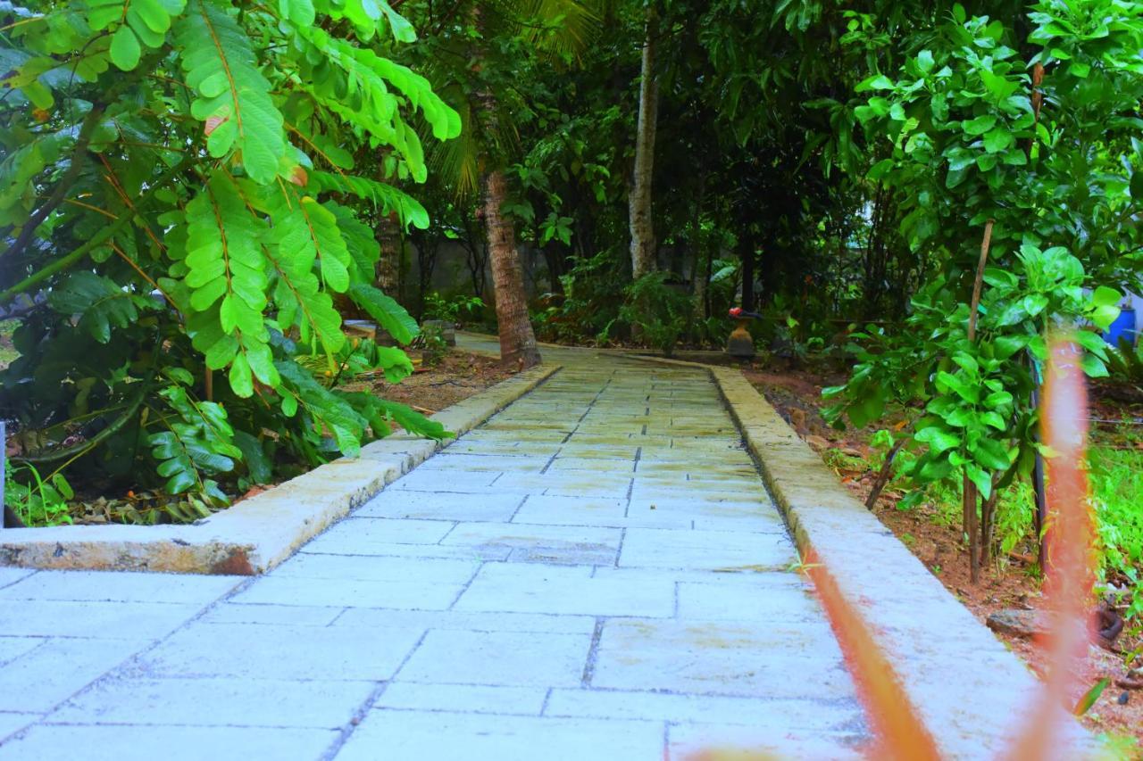 Forest Dew Udawalawa Udawalawe Exterior foto