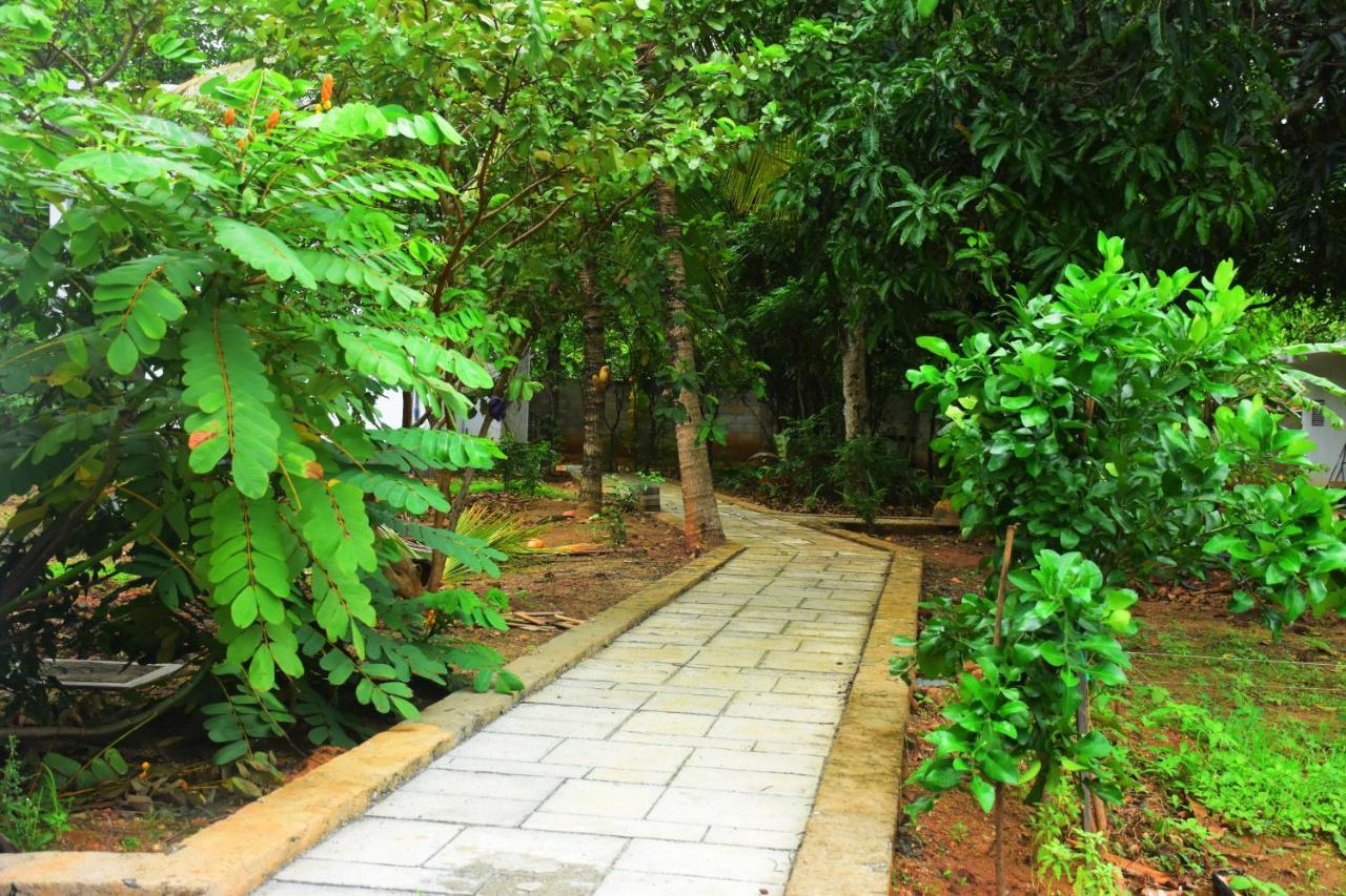 Forest Dew Udawalawa Udawalawe Exterior foto